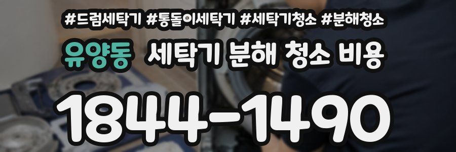 유양동 세탁기 분해 청소 비용