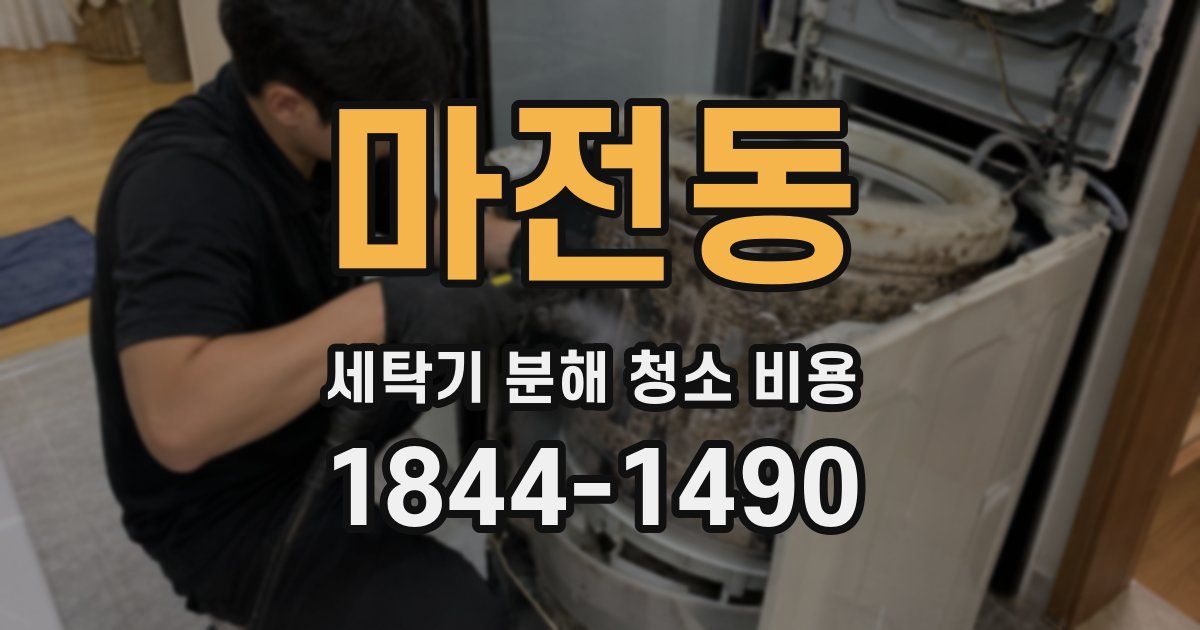 마전동 세탁기 분해 청소 비용