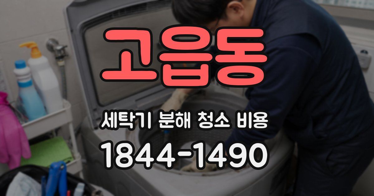 고읍동 세탁기 분해 청소 비용