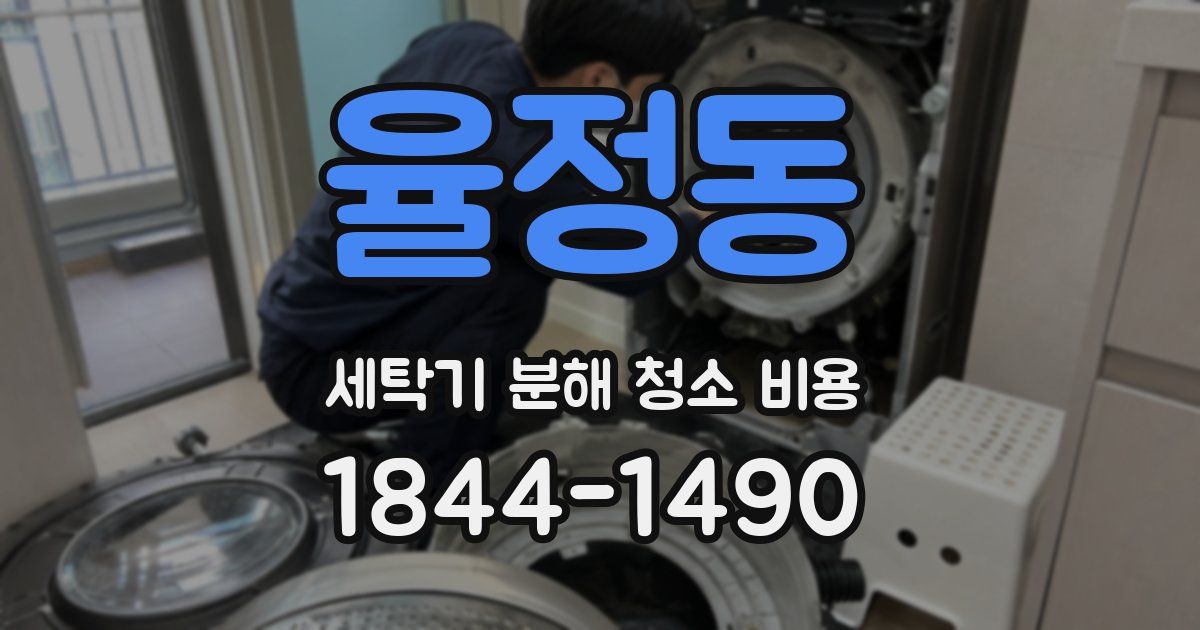 율정동 세탁기 분해 청소 비용
