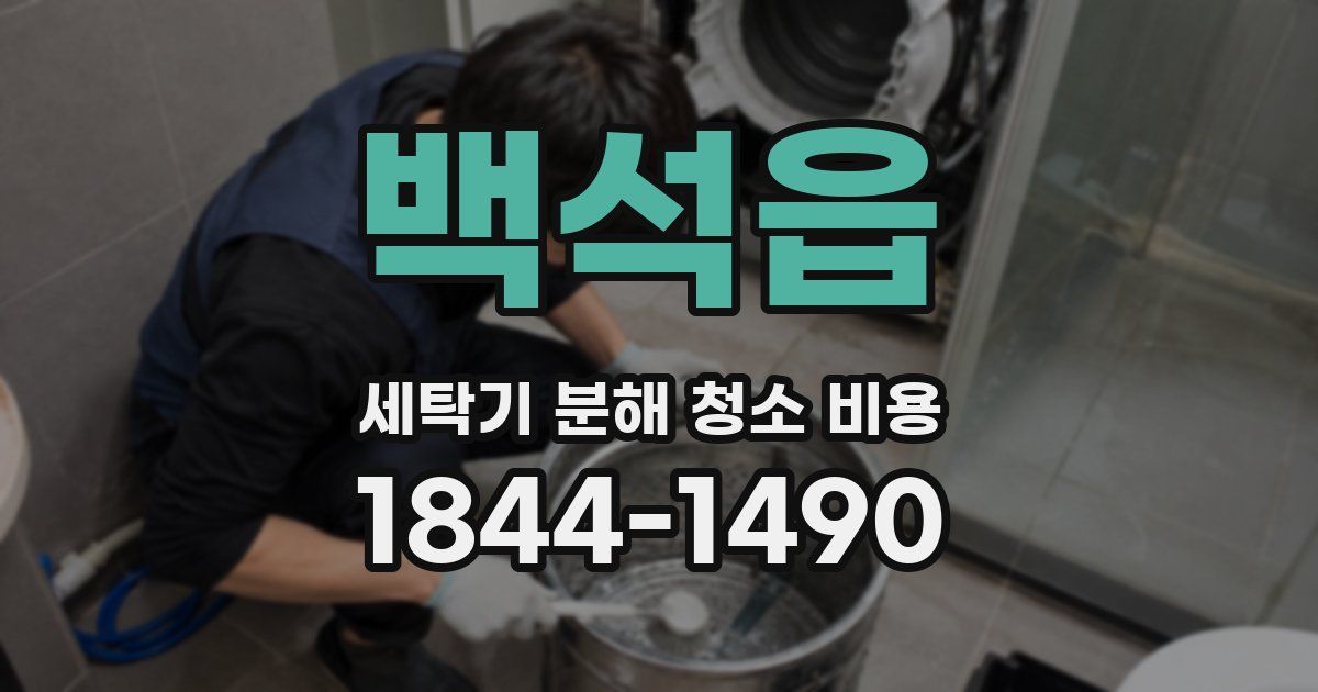 백석읍 세탁기 분해 청소 비용