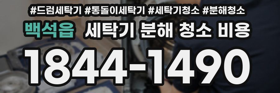 백석읍 세탁기 분해 청소 비용
