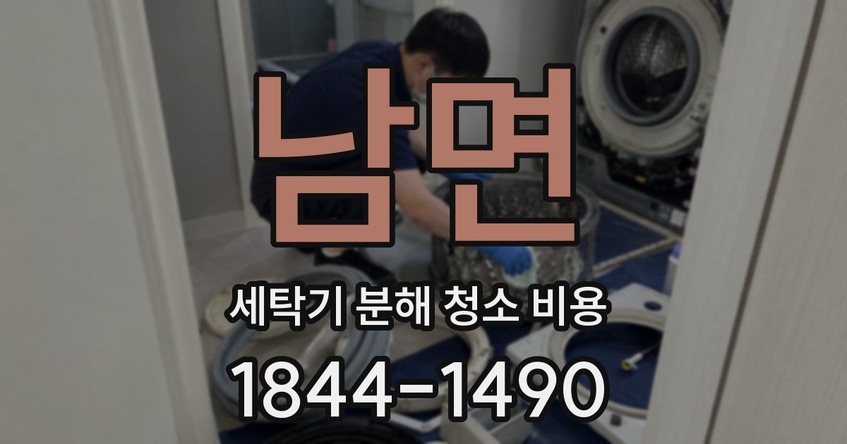 남면 세탁기 분해 청소 비용