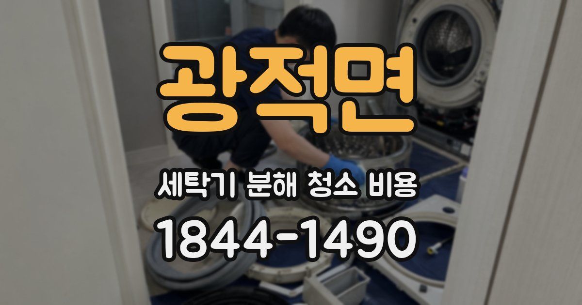광적면 세탁기 분해 청소 비용