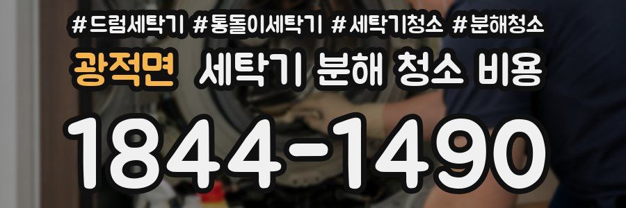 광적면 세탁기 분해 청소 비용