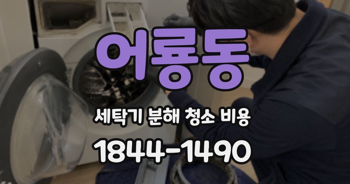 어룡동 세탁기 분해 청소 비용