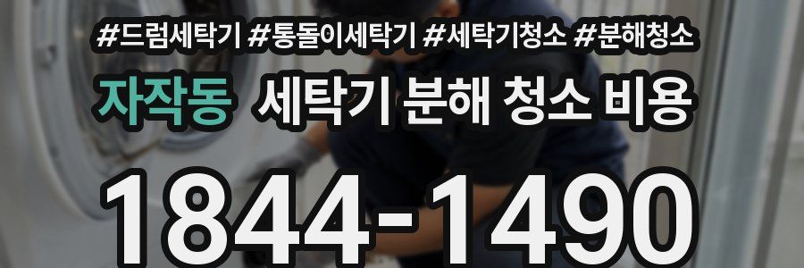 자작동 세탁기 분해 청소 비용