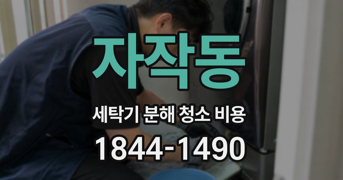 자작동 세탁기 분해 청소 비용
