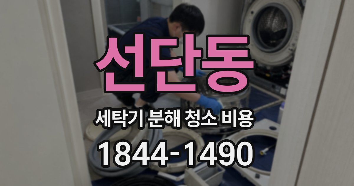 선단동 세탁기 분해 청소 비용