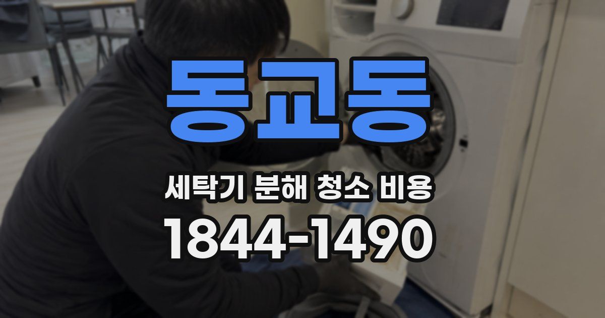 동교동 세탁기 분해 청소 비용