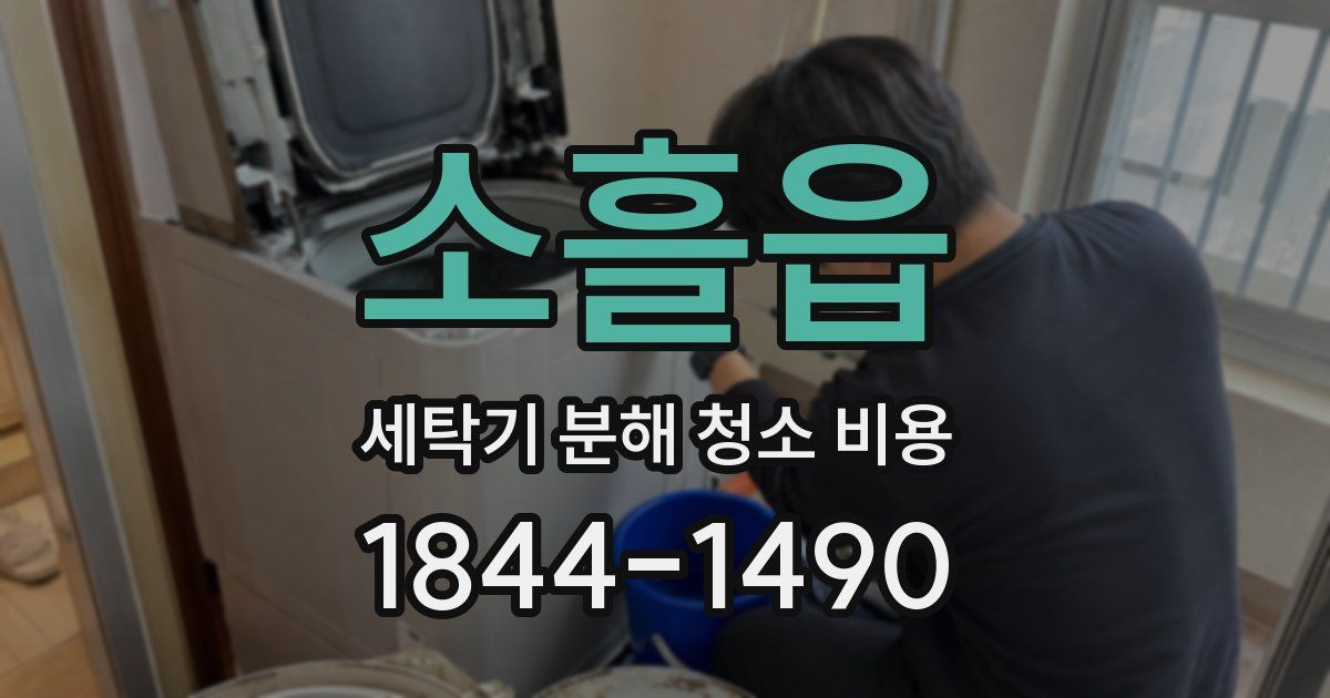 소흘읍 세탁기 분해 청소 비용