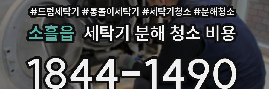 소흘읍 세탁기 분해 청소 비용