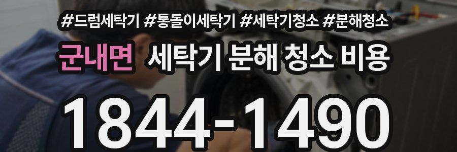 군내면 세탁기 분해 청소 비용
