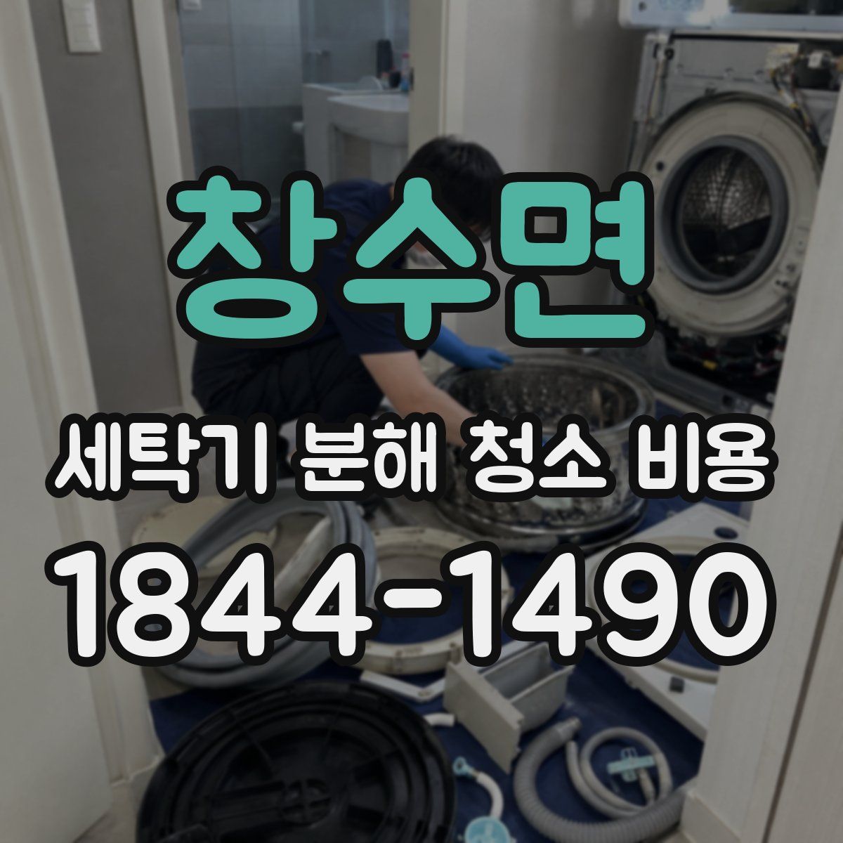 창수면 세탁기 분해 청소 비용