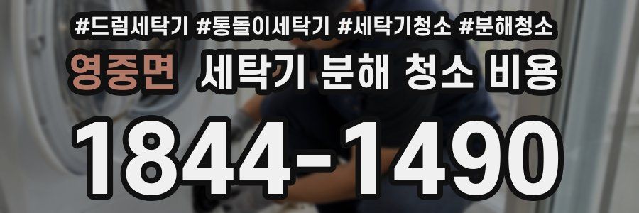 영중면 세탁기 분해 청소 비용