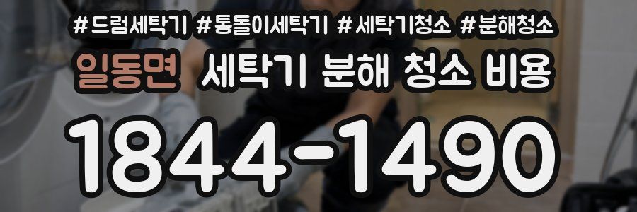 일동면 세탁기 분해 청소 비용