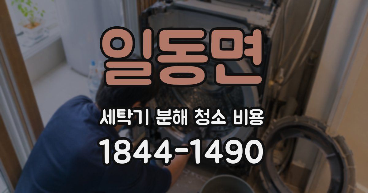 일동면 세탁기 분해 청소 비용