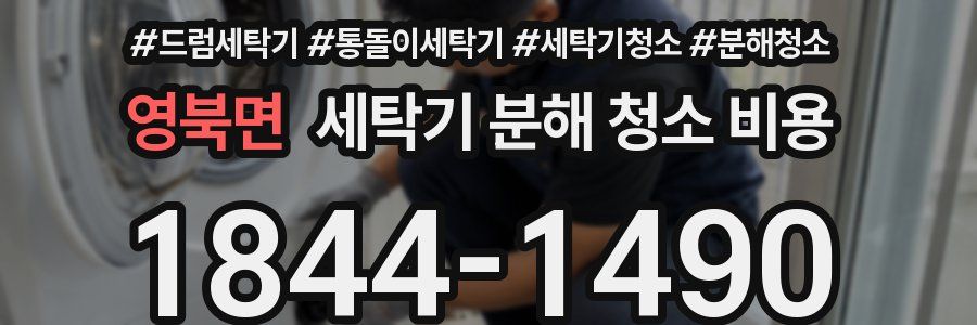 영북면 세탁기 분해 청소 비용