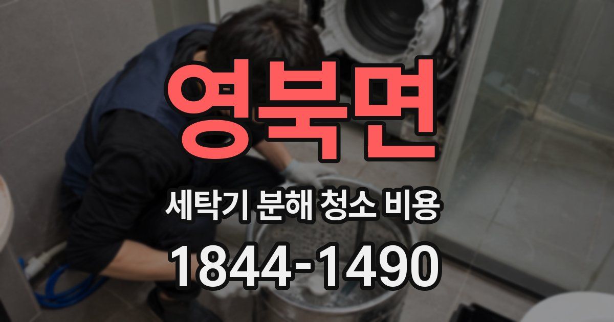 영북면 세탁기 분해 청소 비용