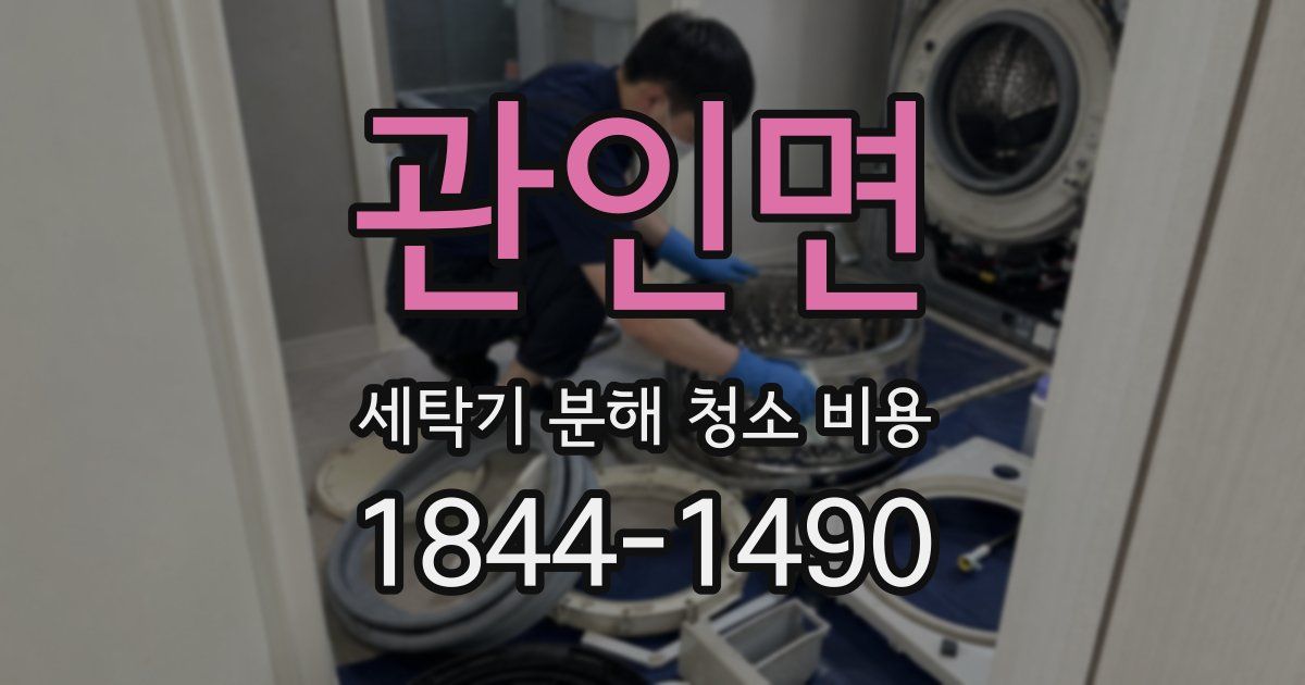 관인면 세탁기 분해 청소 비용