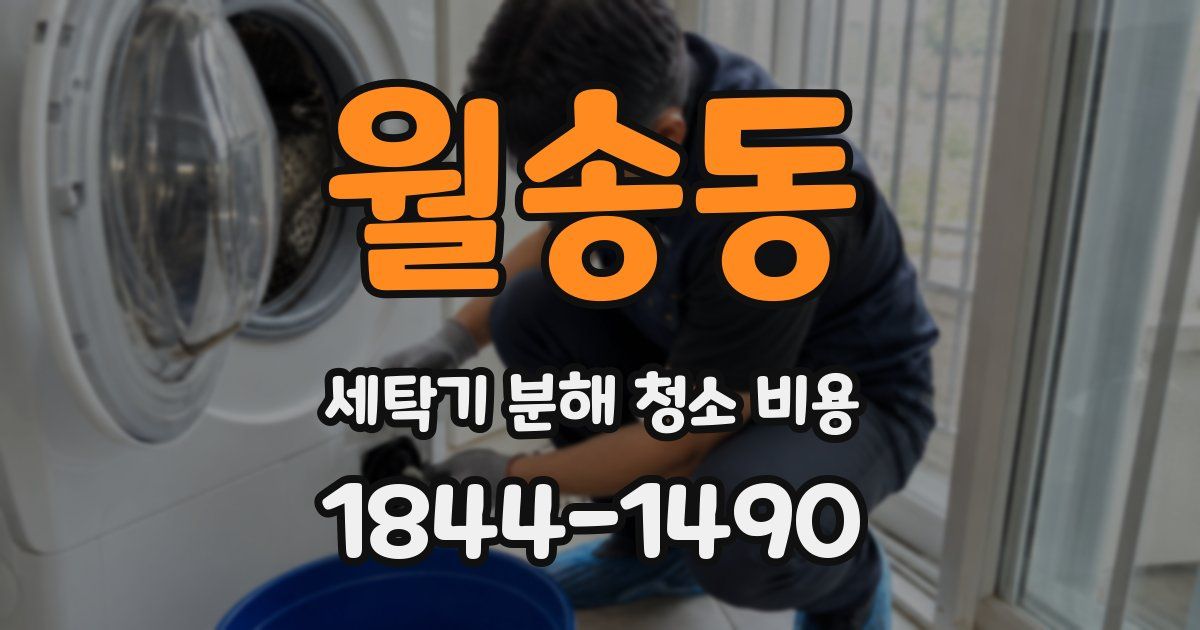 월송동 세탁기 분해 청소 비용