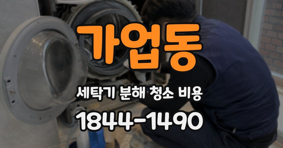 가업동 세탁기 분해 청소 비용