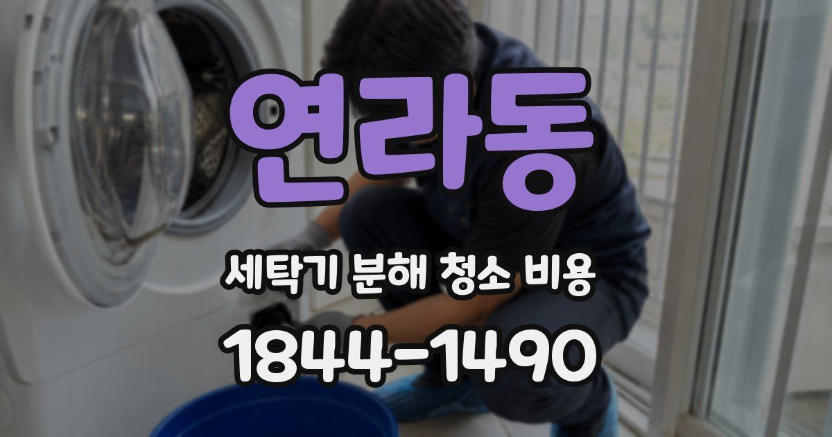 연라동 세탁기 분해 청소 비용