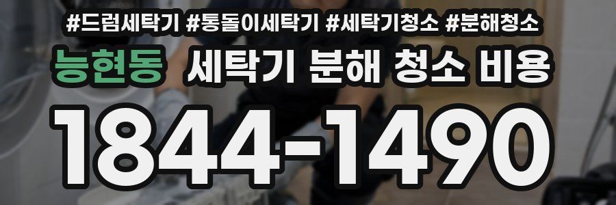 능현동 세탁기 분해 청소 비용