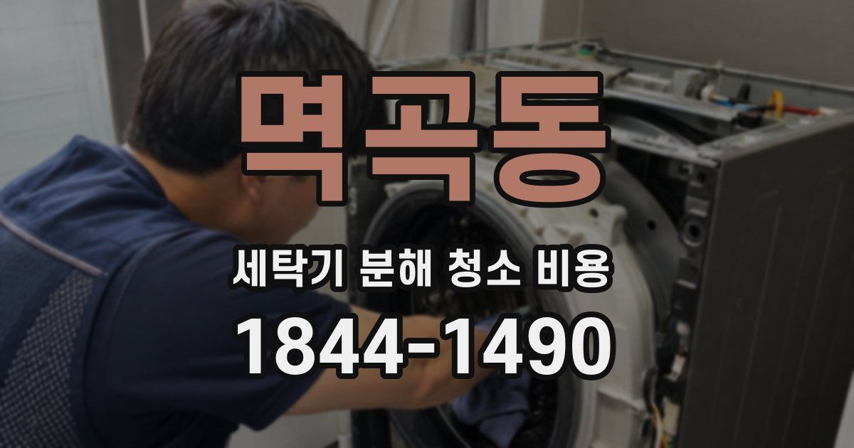 멱곡동 세탁기 분해 청소 비용