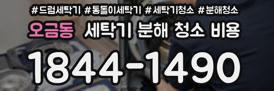 오금동 세탁기 분해 청소 비용