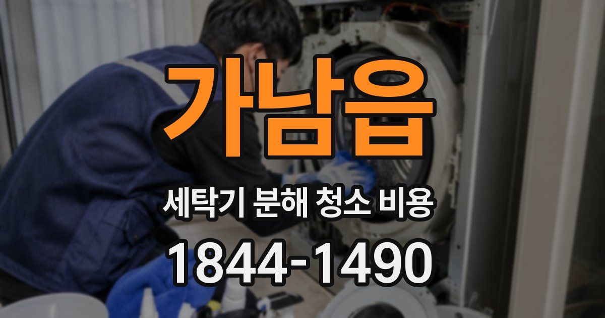 가남읍 세탁기 분해 청소 비용