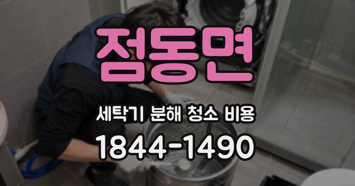 점동면 세탁기 분해 청소 비용