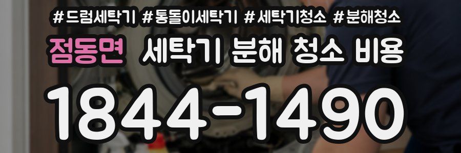 점동면 세탁기 분해 청소 비용