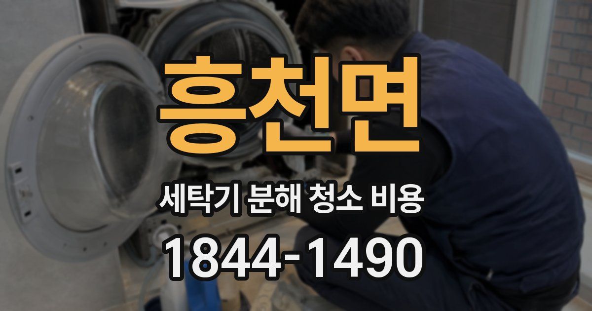 흥천면 세탁기 분해 청소 비용
