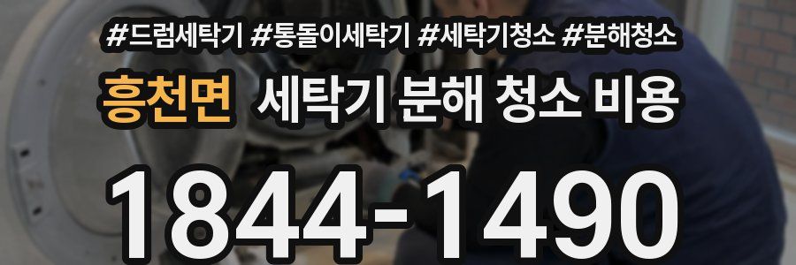흥천면 세탁기 분해 청소 비용