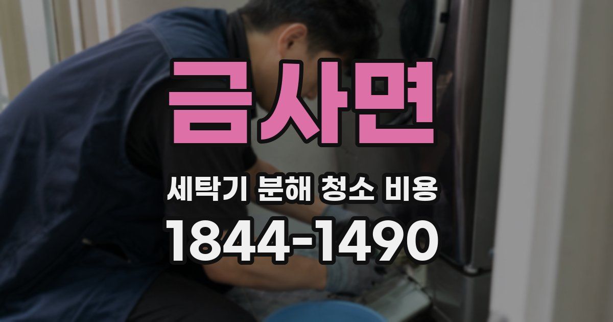 금사면 세탁기 분해 청소 비용