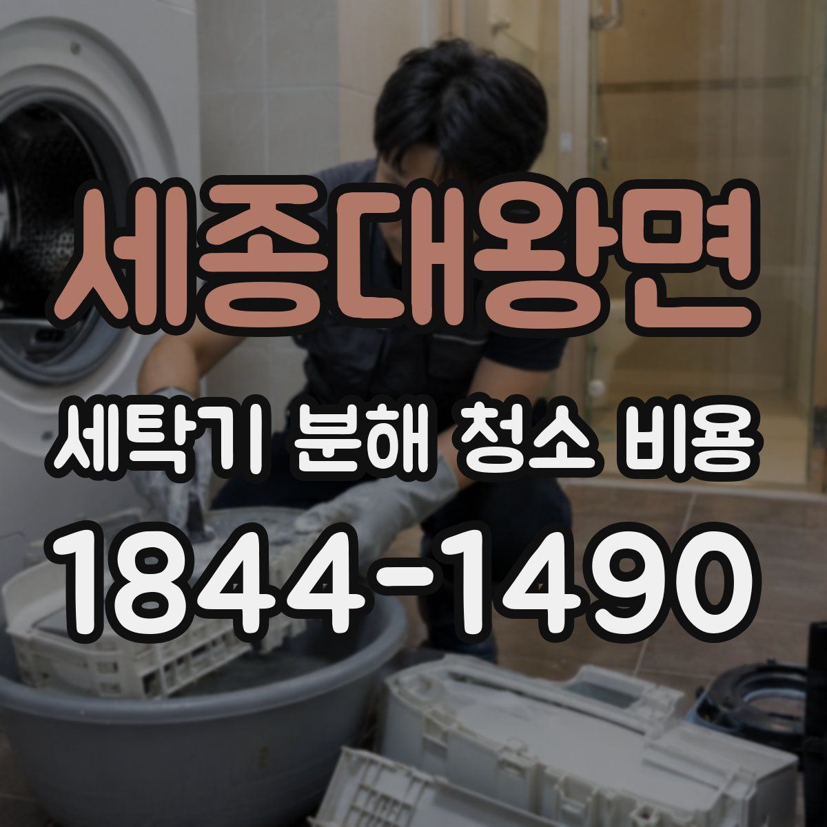 세종대왕면 세탁기 분해 청소 비용