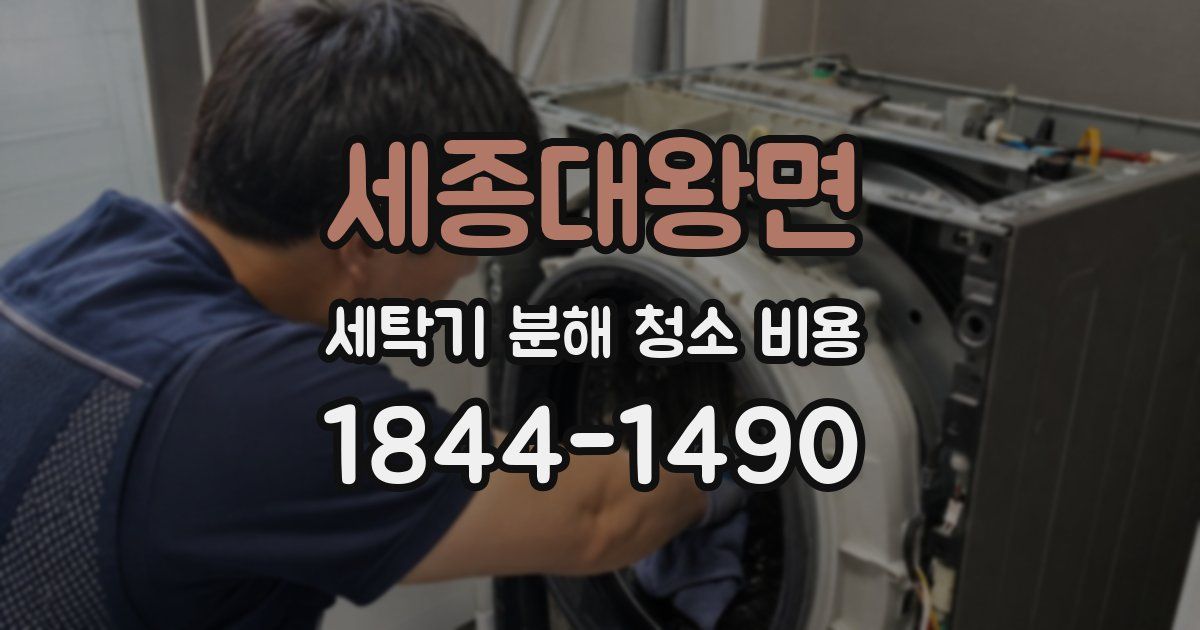 세종대왕면 세탁기 분해 청소 비용