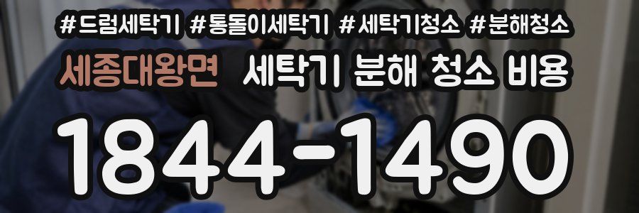 세종대왕면 세탁기 분해 청소 비용