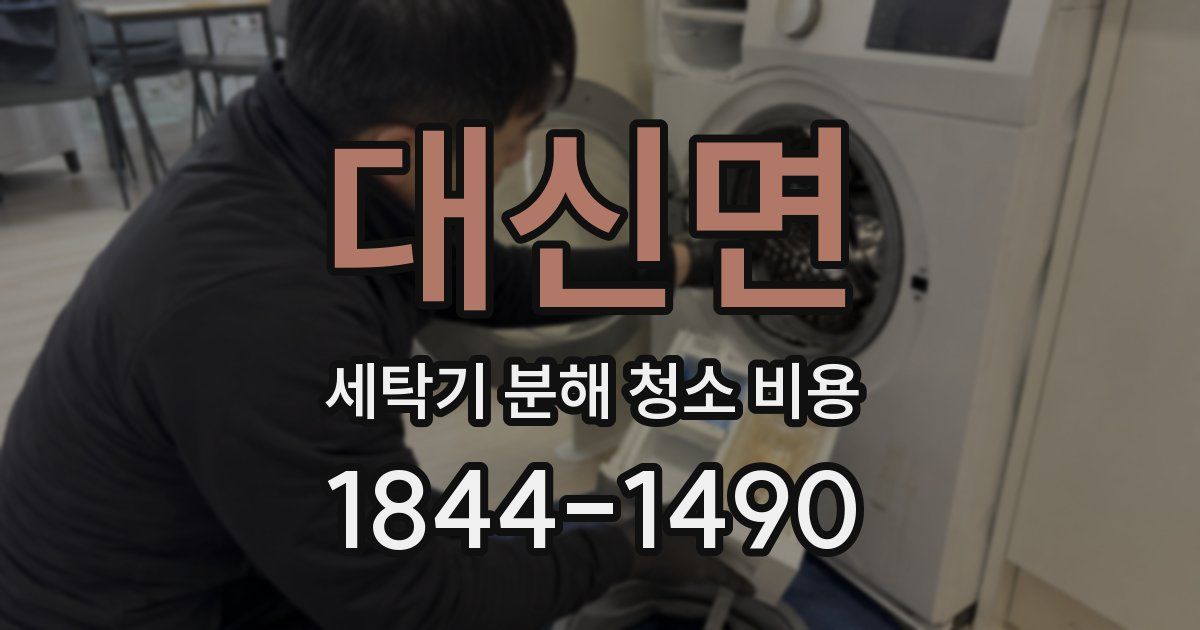 대신면 세탁기 분해 청소 비용