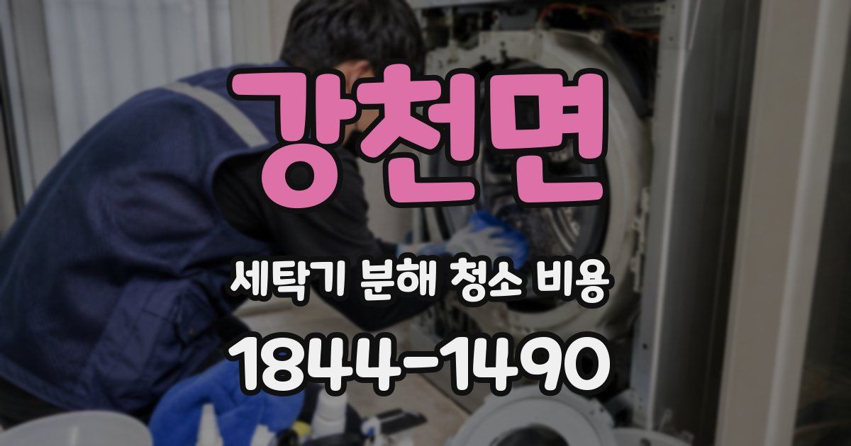 강천면 세탁기 분해 청소 비용