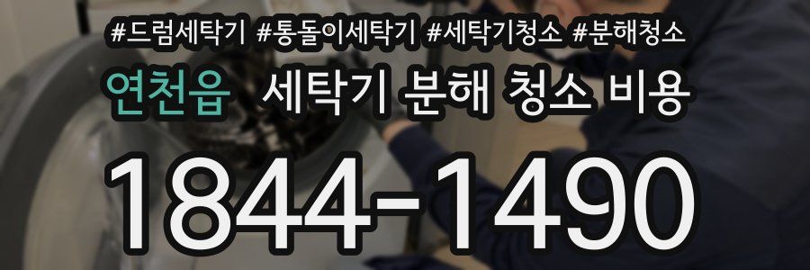 연천읍 세탁기 분해 청소 비용