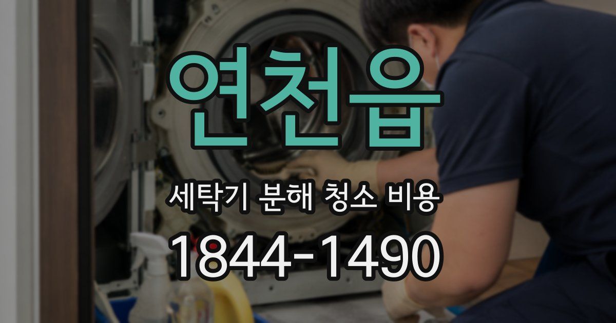 연천읍 세탁기 분해 청소 비용