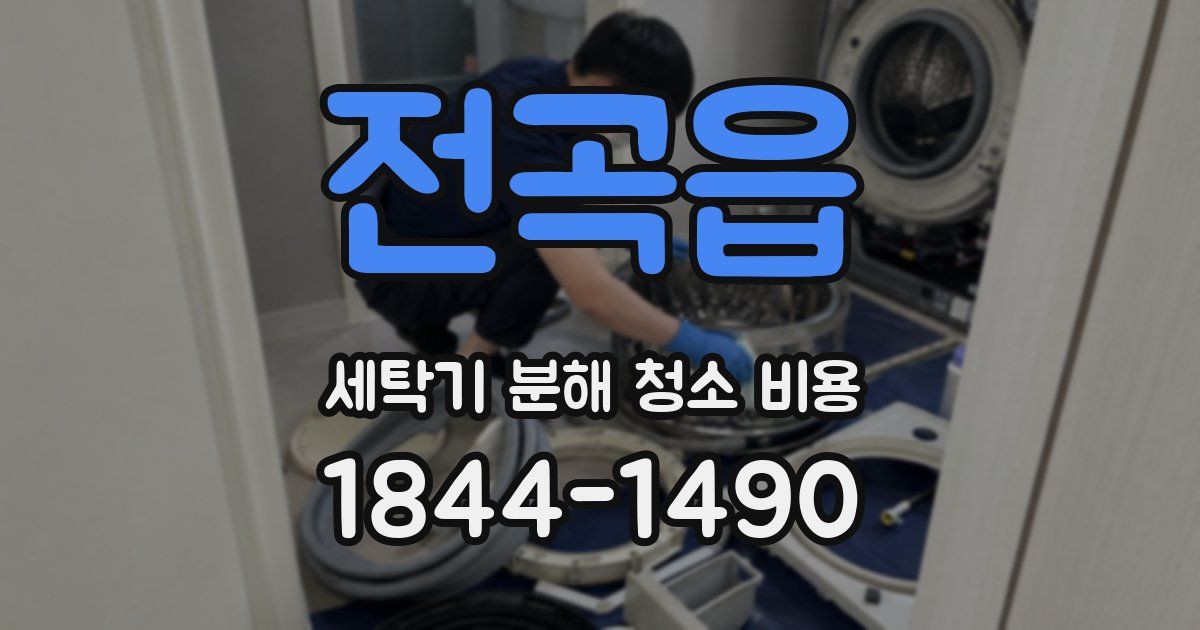 전곡읍 세탁기 분해 청소 비용