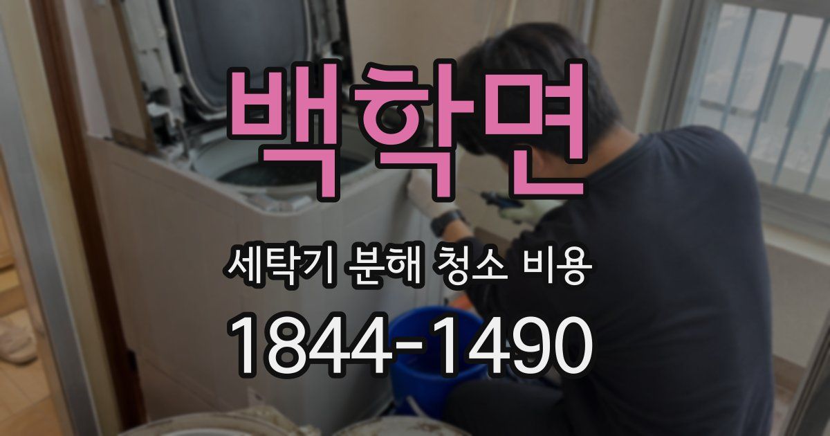 백학면 세탁기 분해 청소 비용