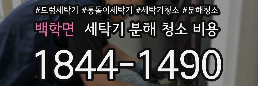 백학면 세탁기 분해 청소 비용