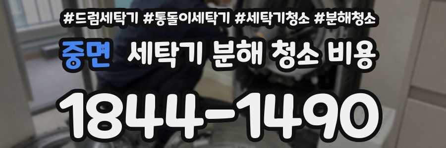 중면 세탁기 분해 청소 비용