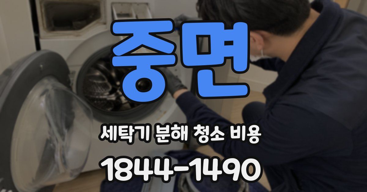 중면 세탁기 분해 청소 비용