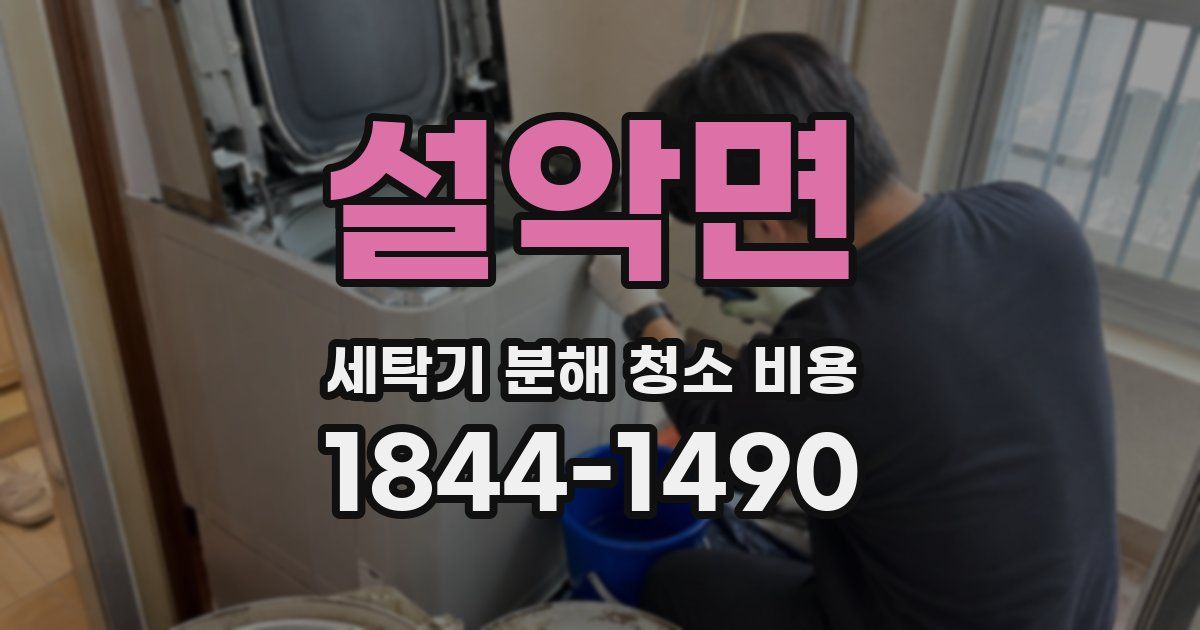 설악면 세탁기 분해 청소 비용