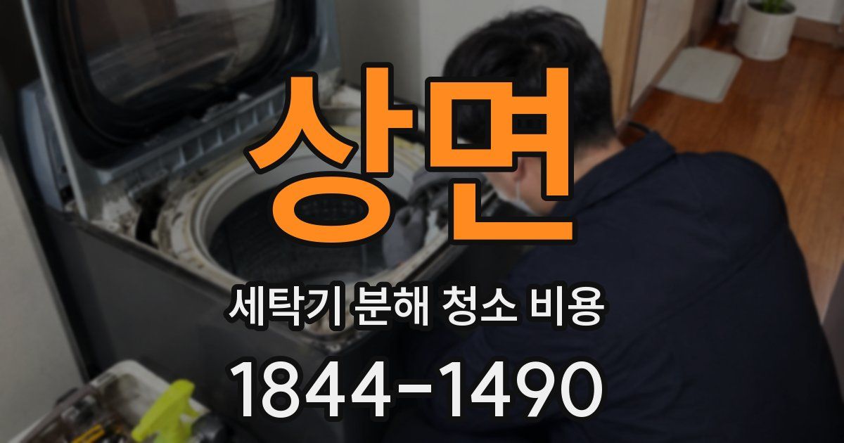 상면 세탁기 분해 청소 비용